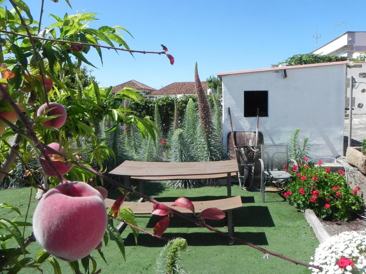 Casa Irma, Great Sea And Mountains Views, Rural House Villa Costa Adeje  Exterior foto