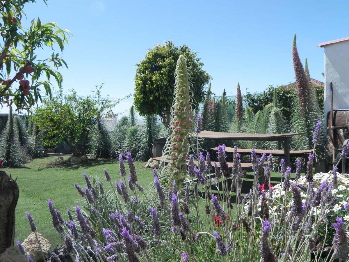 Casa Irma, Great Sea And Mountains Views, Rural House Villa Costa Adeje  Exterior foto